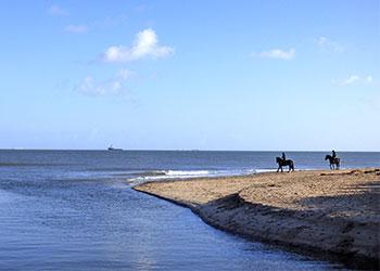 Beaches