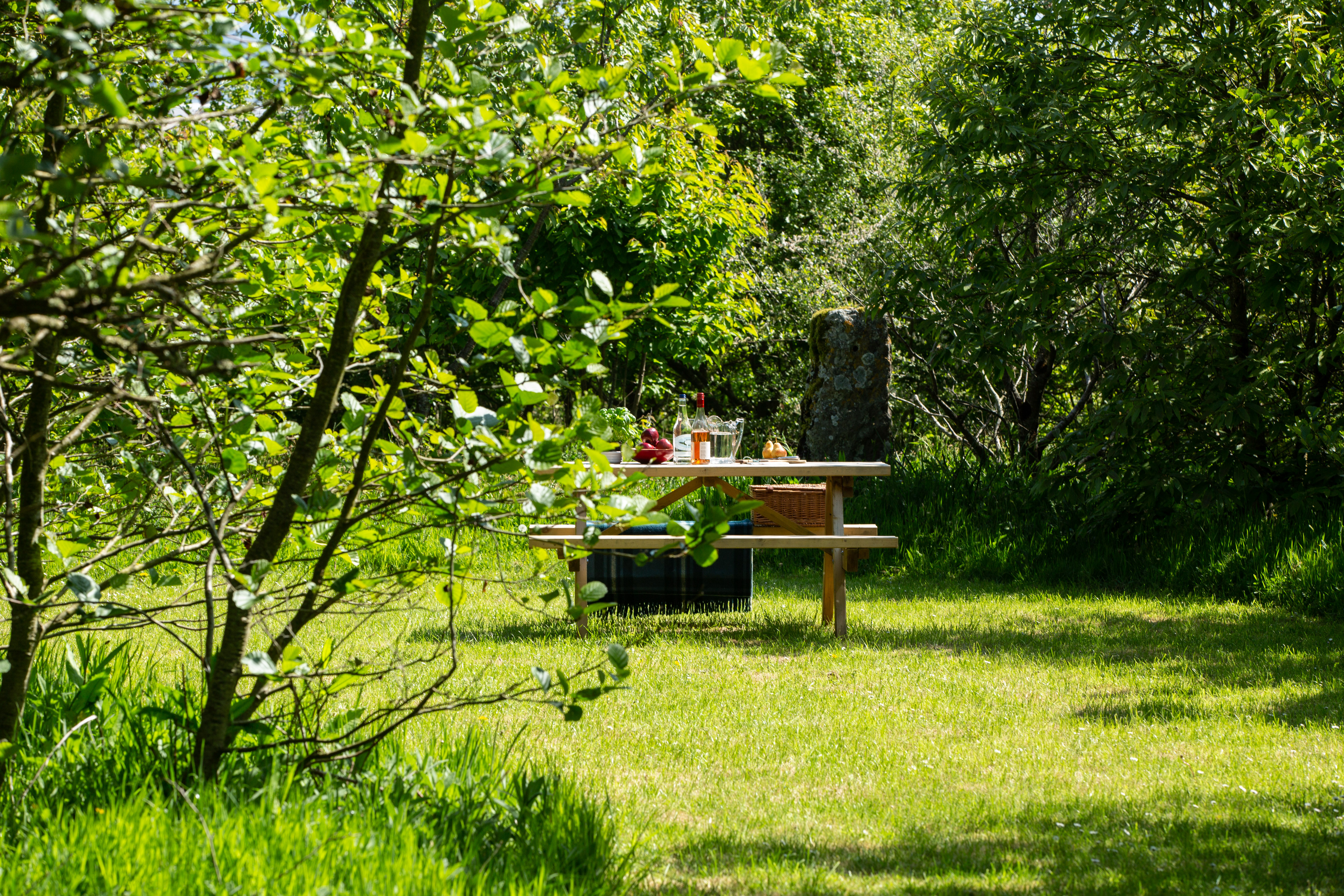Picnic table located